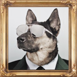 newsletter-max-chairman-sunglasses-portrait
